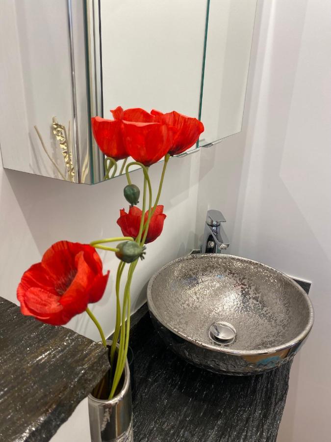 Apartament Paris-Zenith-Bienvenue-Terrasse-Netflix Pantin Zewnętrze zdjęcie
